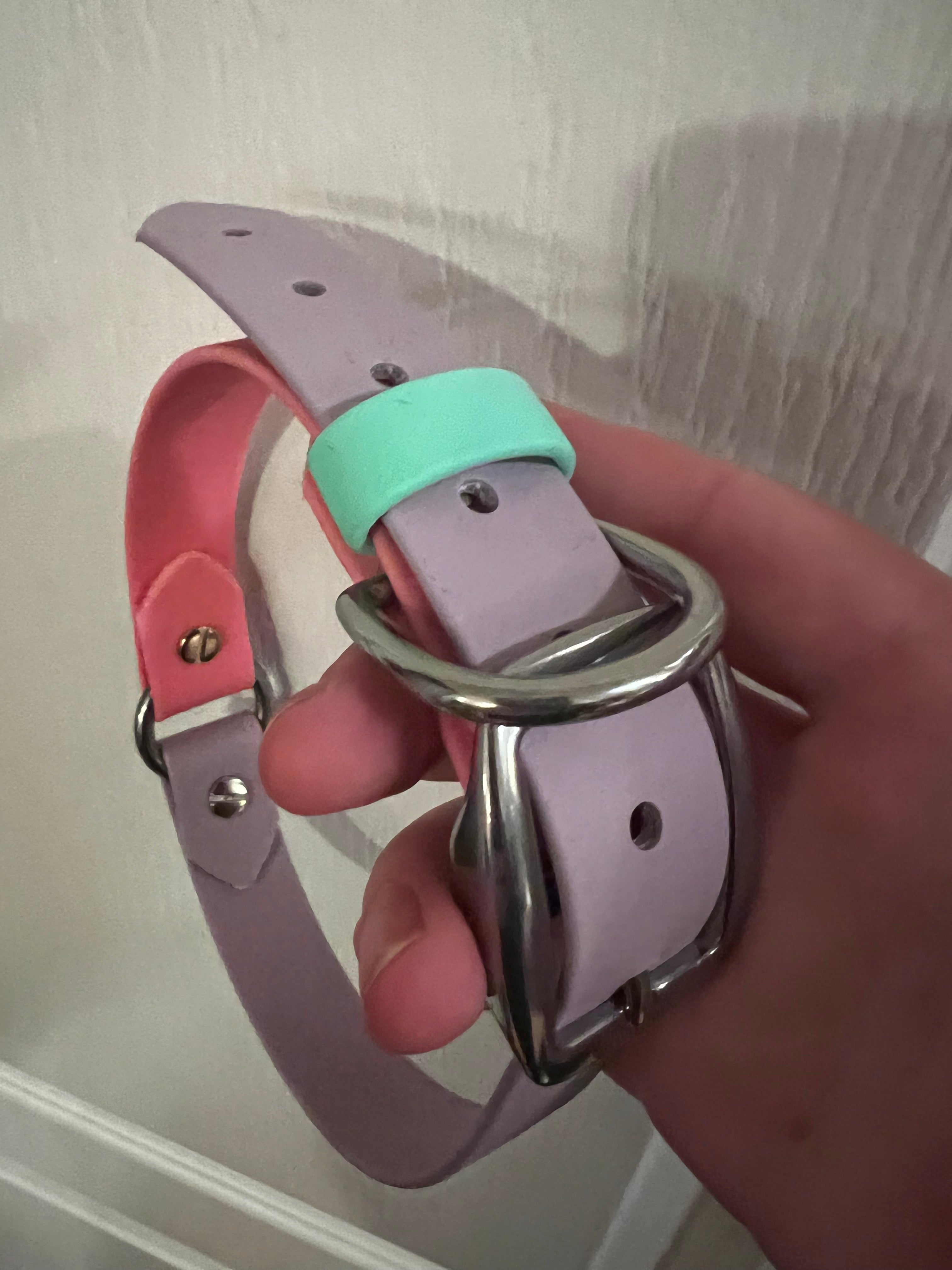 Collar Upgrade Strap Keeper Top Dog Gear