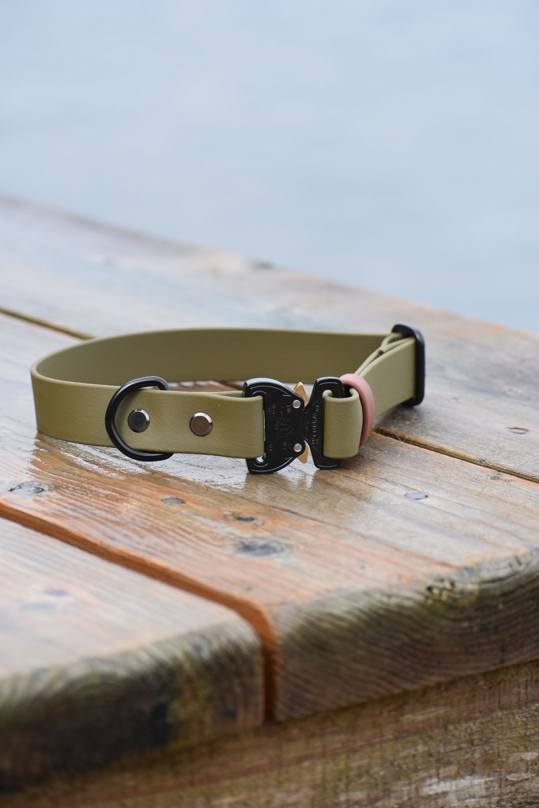 Quick Release Collar – Top Dog Gear - Main Image