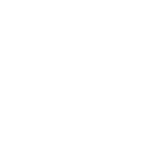 Top Dog Gear